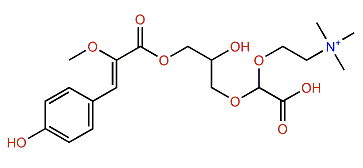 Durabetaine A